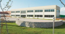 Experience in Food Sector